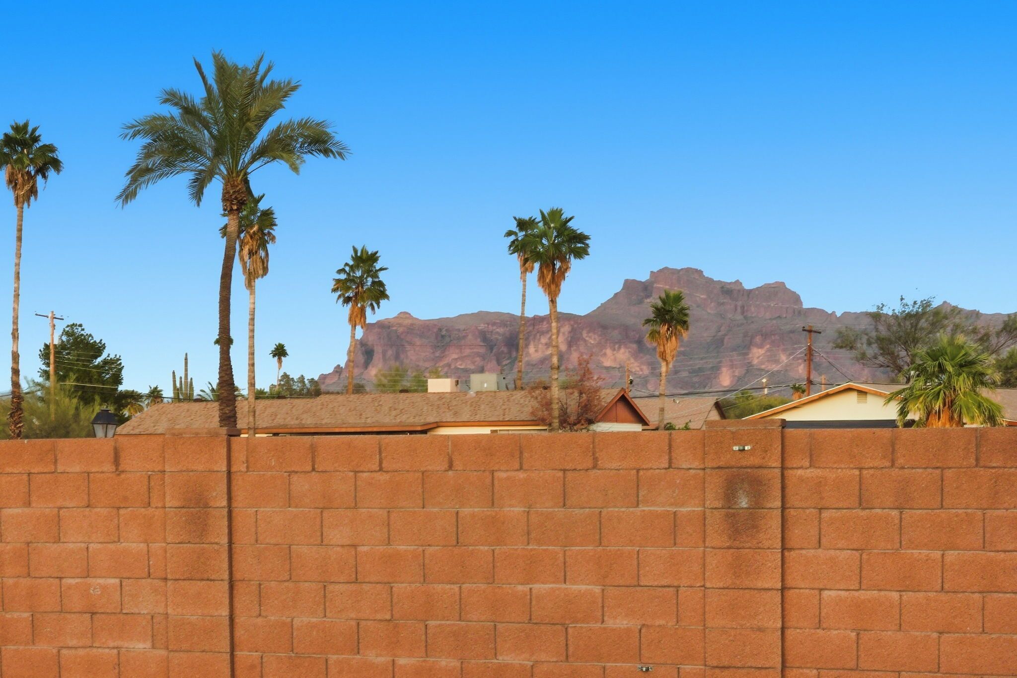 Un muro de ladrillo con palmeras y una montaña al fondo.