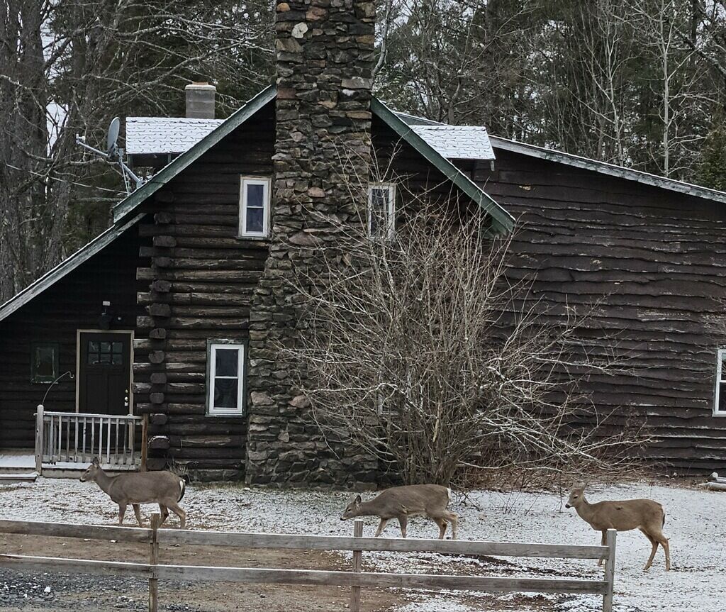 Une cabane en rondins avec une cheminée en pierre, une véranda en bois et un sol recouvert de neige.