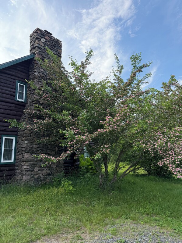Eine rustikale Blockhütte mit einem Steinkamin, umgeben von üppigem Grün und blühenden Bäumen.