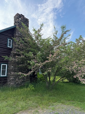 A rustic log cabin with a stone chimney, surrounded by lush greenery and flowering trees.