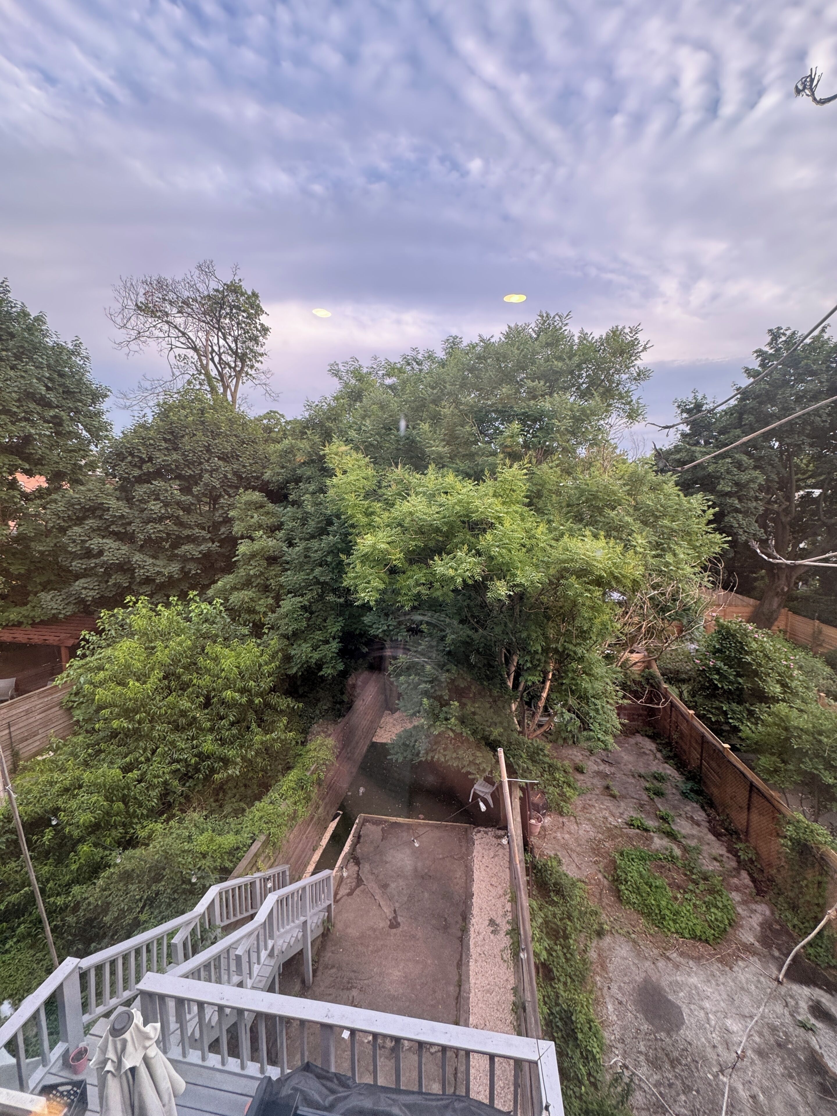Vue d’une cour arrière avec une terrasse en bois, un petit étang et un feuillage dense.