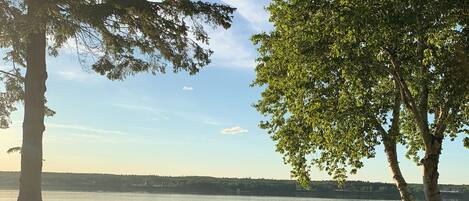 Una zona erbosa con alberi e un lago tranquillo.