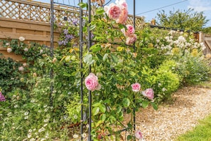 A garden with a trellis supporting climbing roses and other plants. - Cottage Sleeps 4 with Enclosed Garden (Henley-on-Thames)