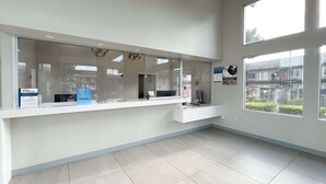 Un espace d’accueil comprenant un comptoir, une fenêtre donnant sur un paysage agréable et un sol carrelé.