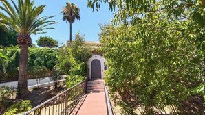 A pathway leading to a building with a decorative archway, surrounded by lush greenery and palm trees. - House - Sleeps 8 - Hot Tub - Beach Access (URBANIZACION BUENAS NOCHES)