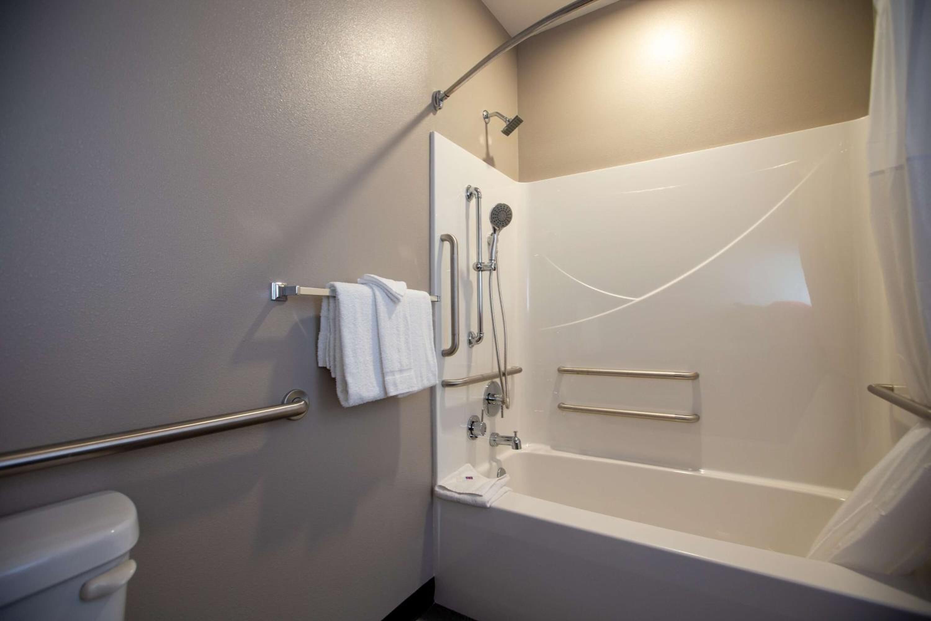 A bathroom with a bathtub, a shower, a toilet, and grab bars.