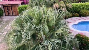 Una piscina rodeada de exuberante follaje y plantas florecientes.