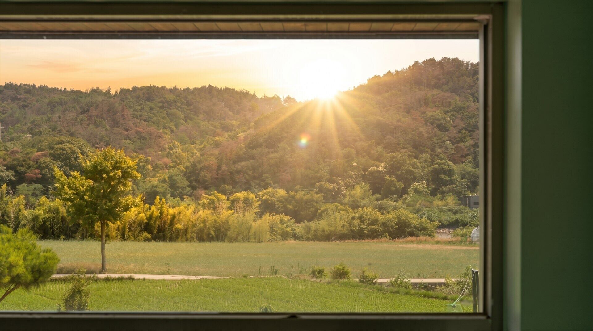 A view through a window of a green landscape with a tree and a field.
