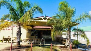 A building with a covered patio, palm trees, and a pool. - Coonalpyn Hotel (Coonalpyn)