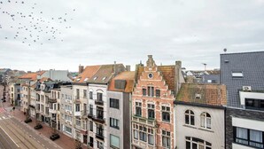 Una hilera de edificios históricos con diversos estilos arquitectónicos, una línea de tranvía y un grupo de aves en el cielo.
