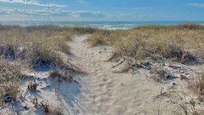 A sandy path leading to the ocean with sparse vegetation.