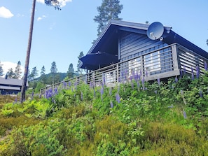 A modern wooden cabin with a satellite dish, surrounded by lush greenery and purple flowers.