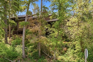 A lodge with a rustic design, nestled among trees.