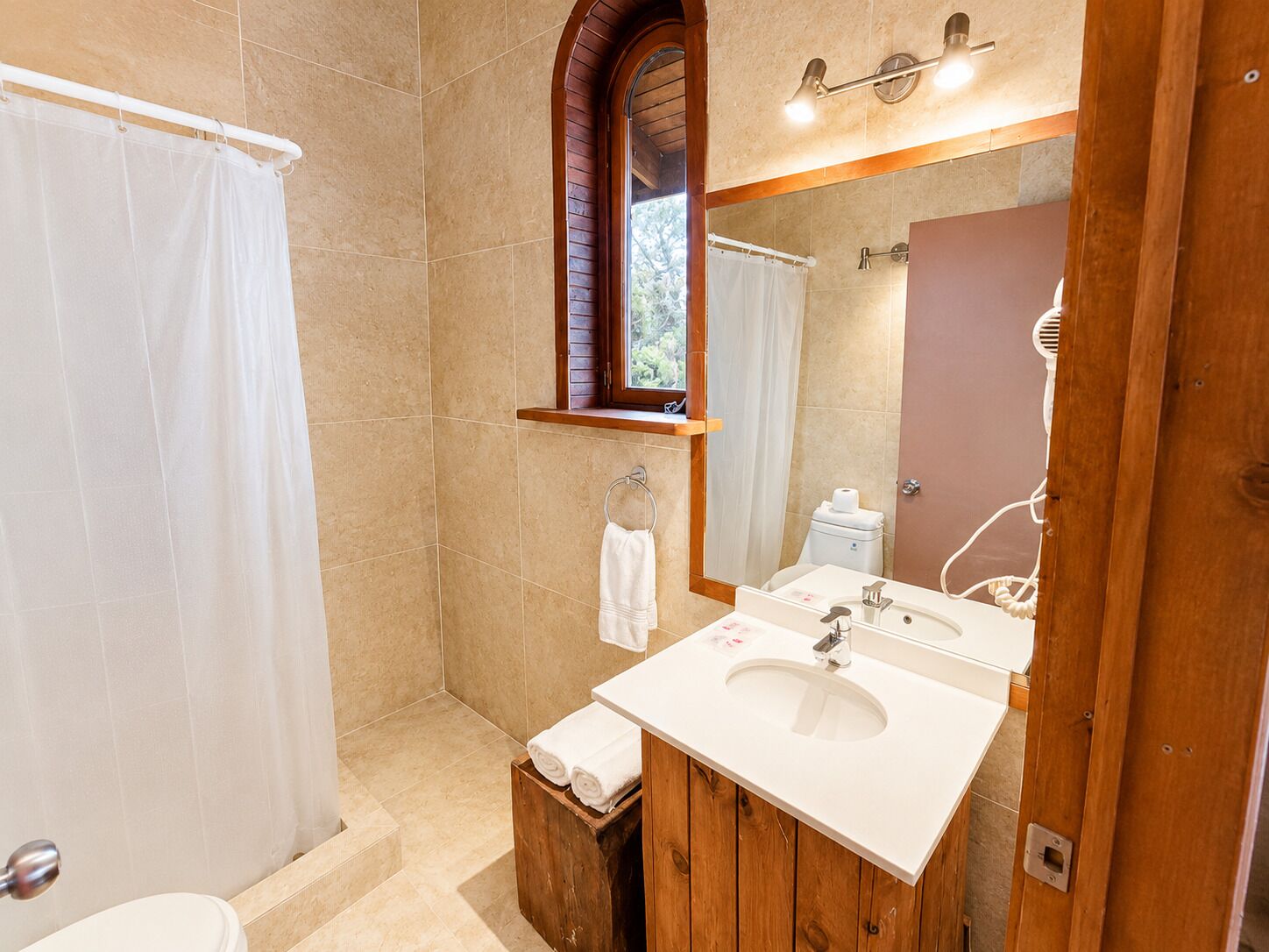 A bathroom with a shower, a sink, a mirror, and a window.