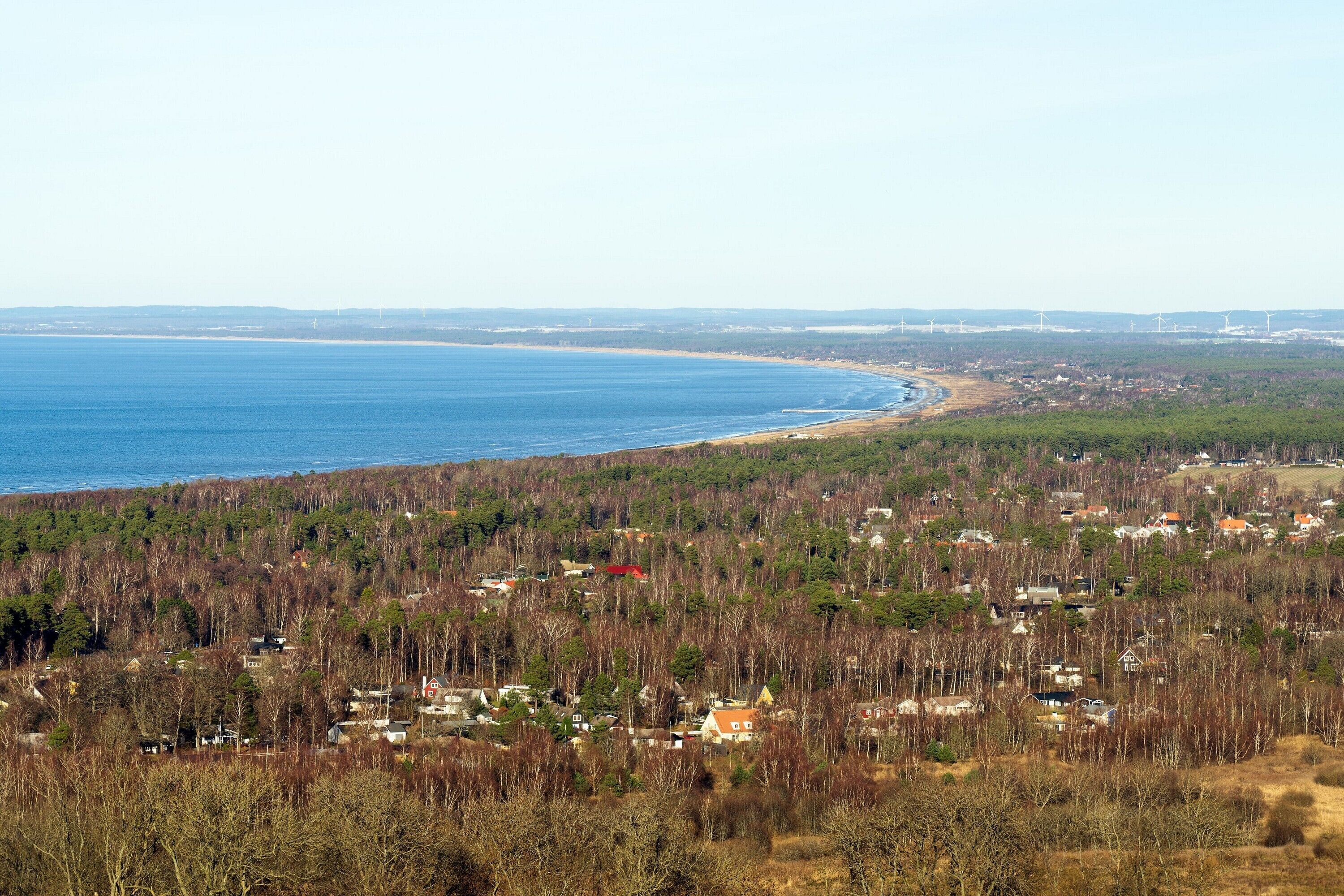 Ett kustlandskap med en strand, ett skogsområde och några få hus utspridda här och var.