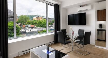 Downtown Hotel Loft in the Plateau