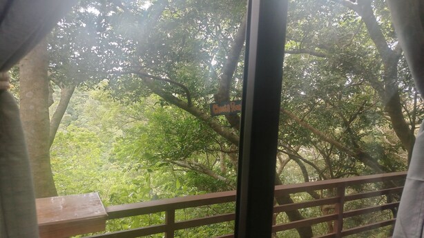 Una terraza de madera con barandilla de metal, con vistas a un bosque verde y frondoso.