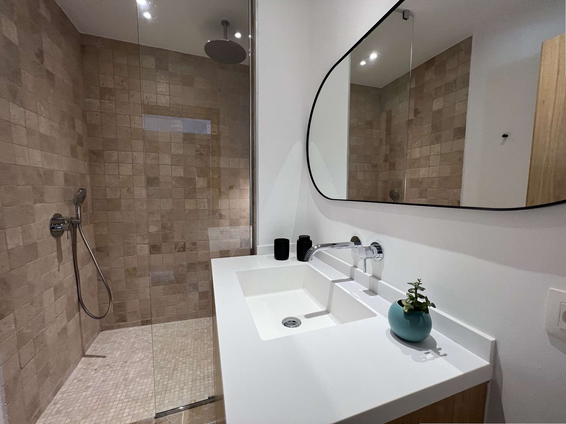 Une salle de bain moderne avec une douche, un lavabo blanc, un miroir et une plante en pot.