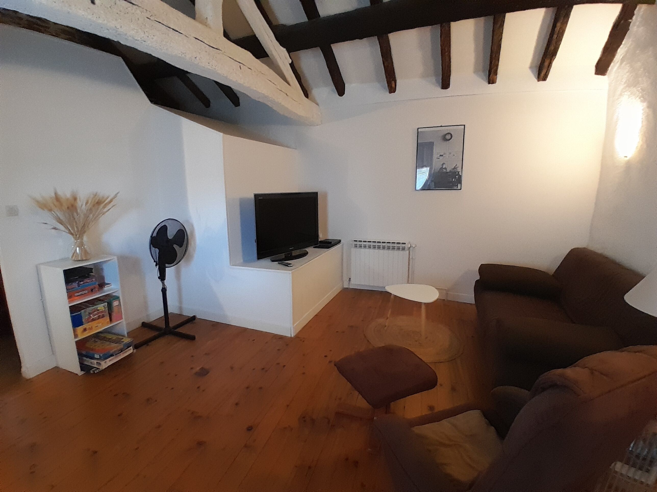 A living room with a television, a radiator, a fan, a bookshelf, and a brown sofa.