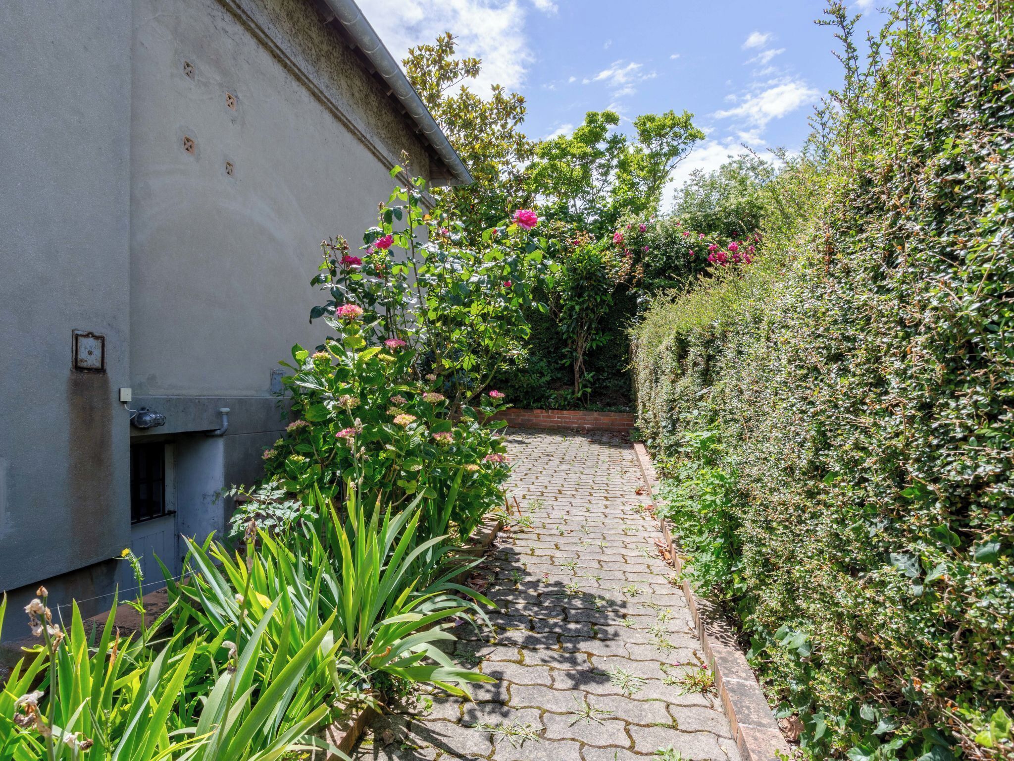 A paved pathway leading to a building with a grey exterior, surrounded by lush greenery and flowering plants.
