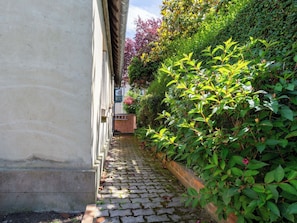 A narrow cobblestone path flanked by lush greenery and a building facade. - Villerville by Interhome (Villerville)