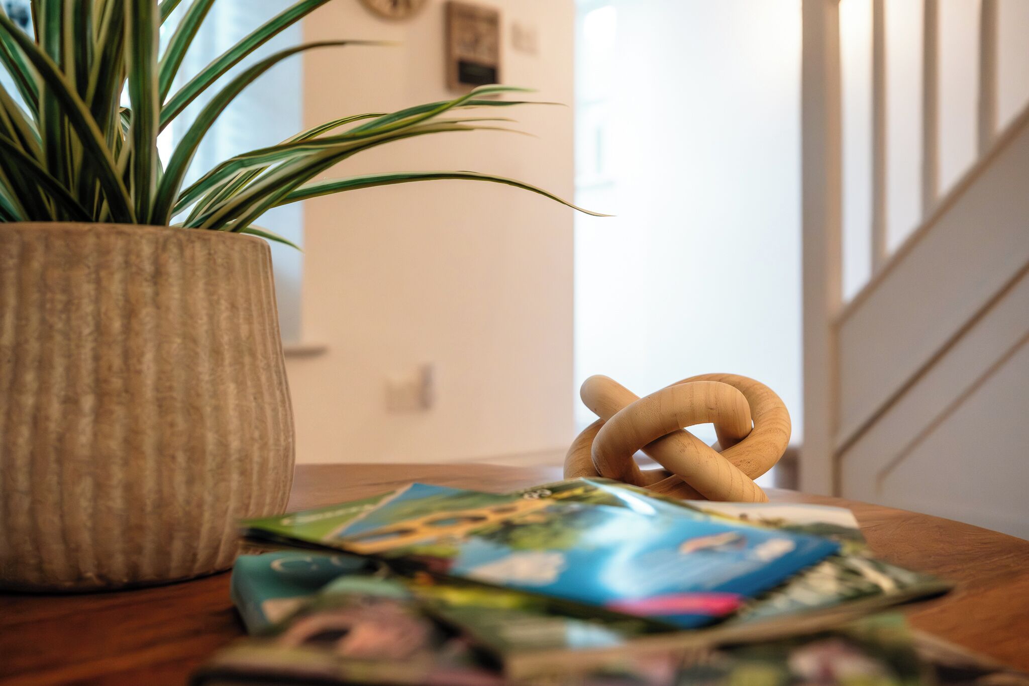 Une table en bois, sur laquelle se trouvent un pot de fleurs, un jouet en bois et quelques magazines.
