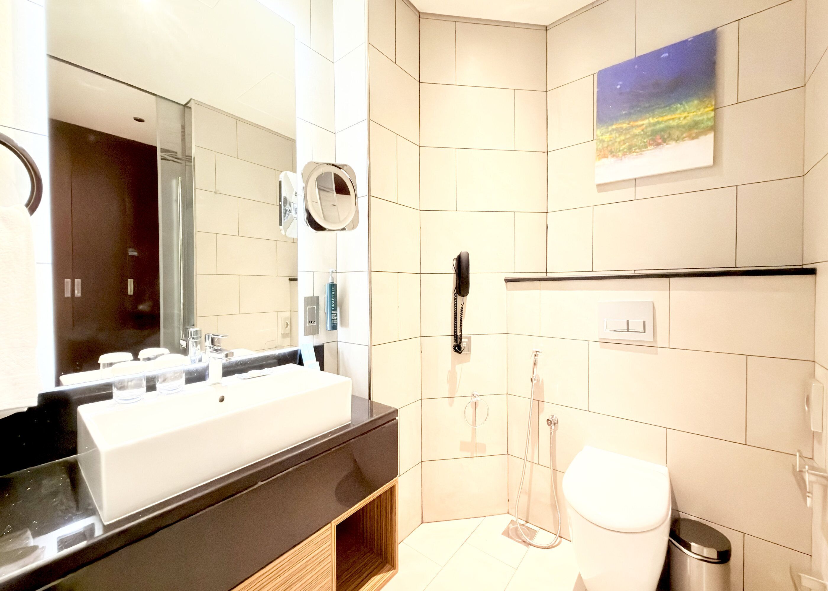 Une salle de bain moderne avec un grand miroir, un lavabo, des toilettes et une douche.