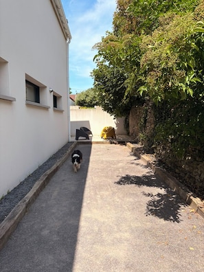 A narrow alleyway with a dog walking, a yellow object, and a building with windows. - Beaulieu Le 15 Vacation Rental – Ambleteuse (sleeps 15) (Ambleteuse)