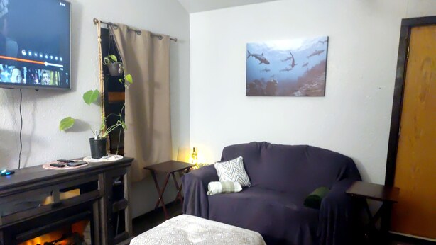 A living room with a TV, a couch, a fireplace, a plant, and a painting on the wall. - Quiet, Humble, 1-bedroom cabin in charming North Pole perfect for a cozy getaway (North Pole)