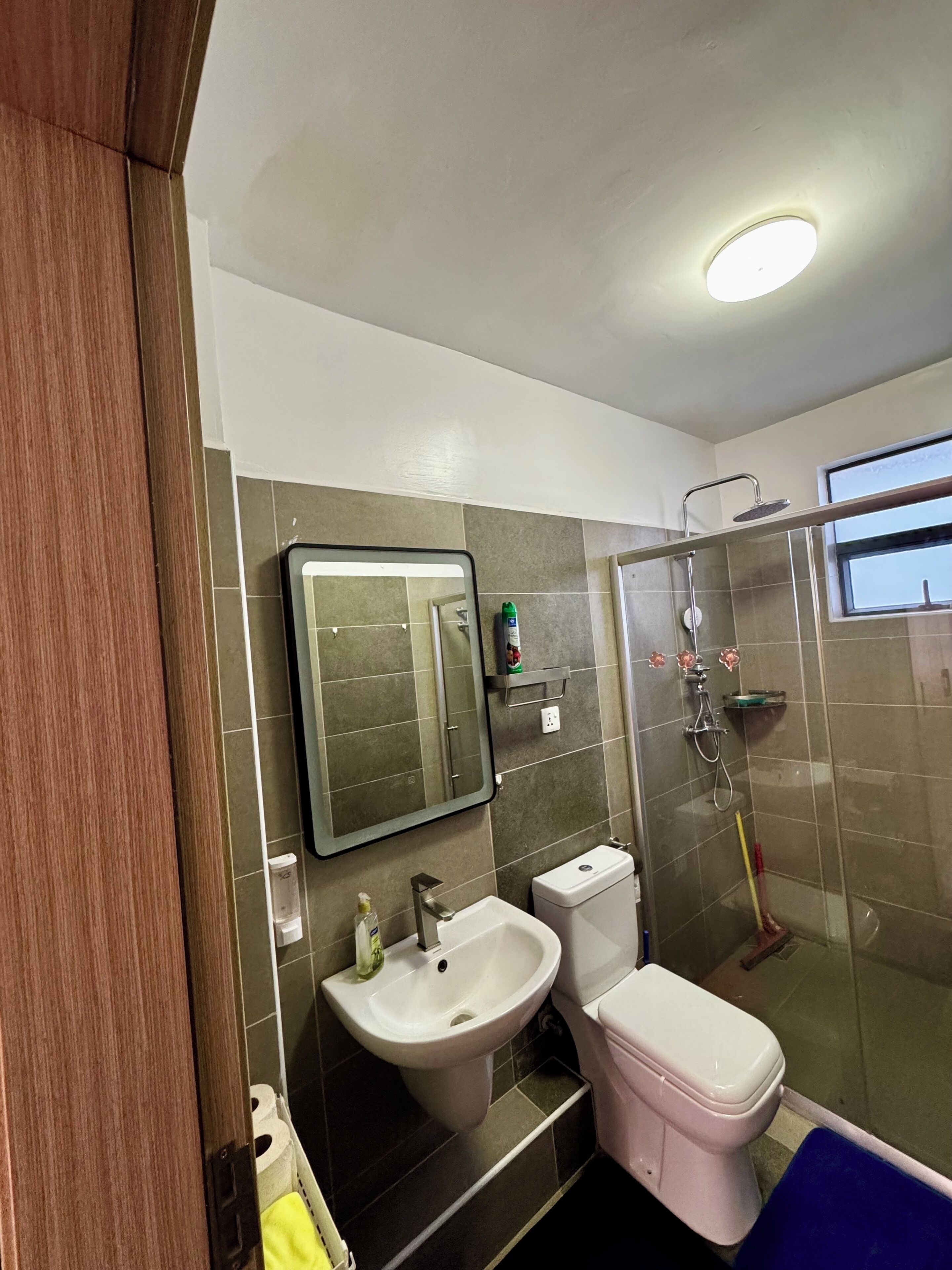 Superior Apartment, Private Pool | Bathroom | Free toiletries, hair dryer, slippers, towels