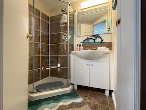Dusche, Haartrockner, Handtücher, Seife
