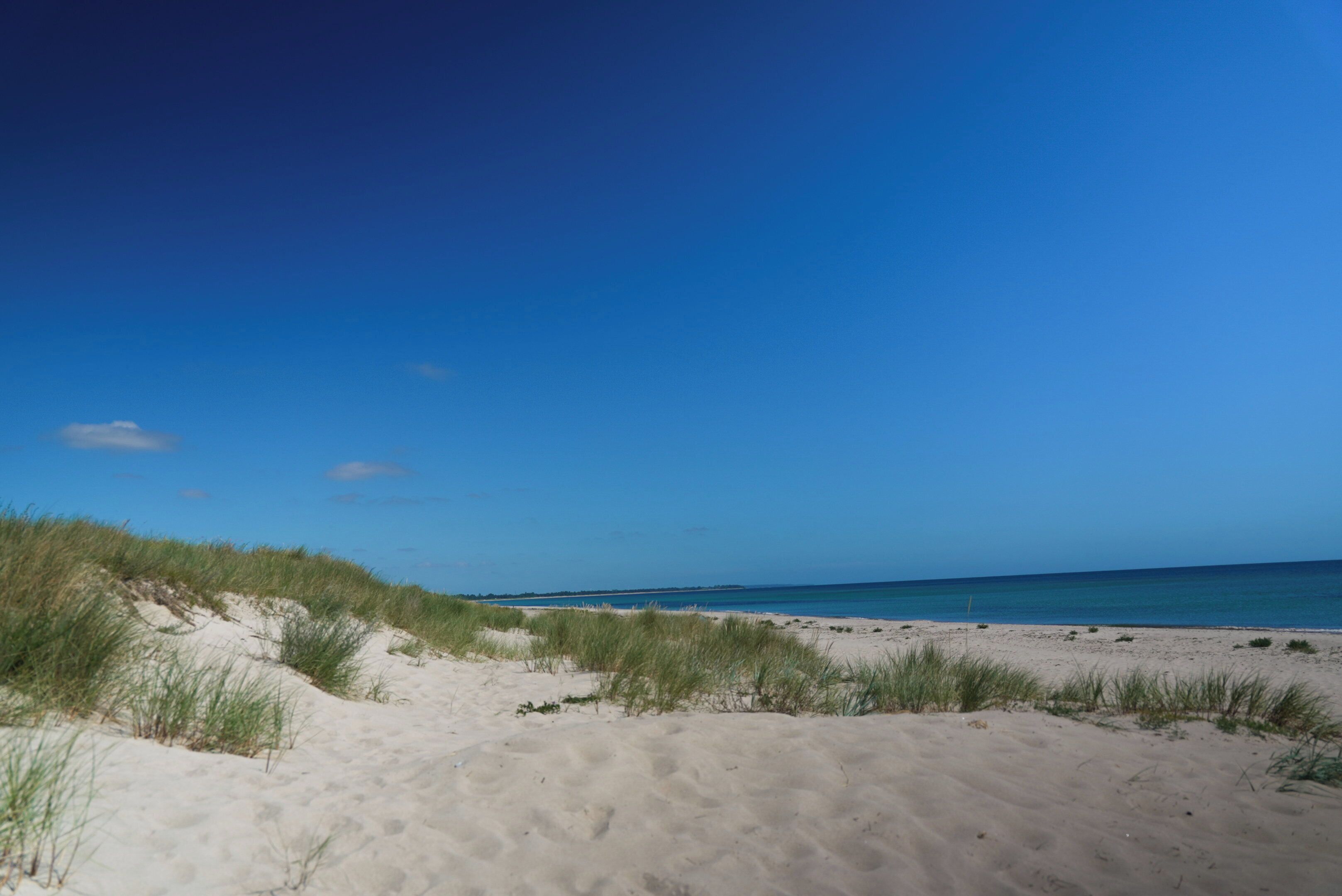 A beach with sand dunes and a clear blue sky.