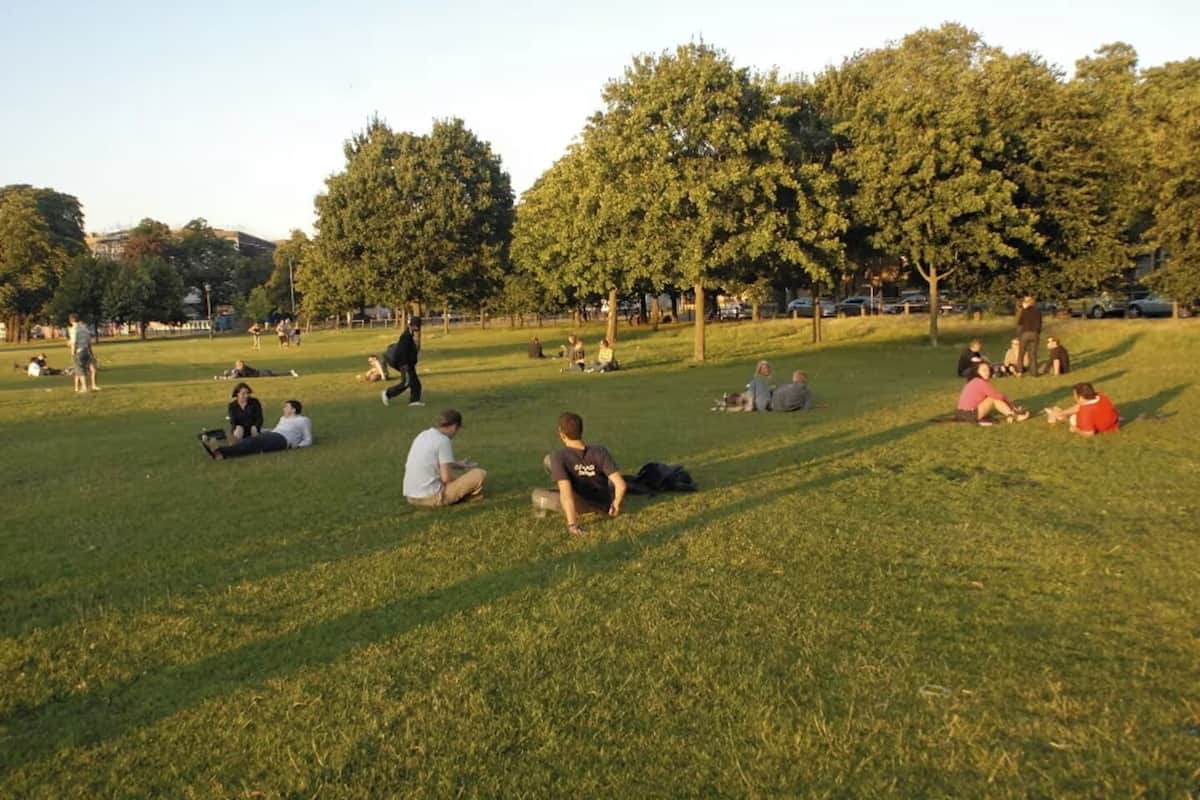 A park with people sitting on the grass, trees, and a clear sky.