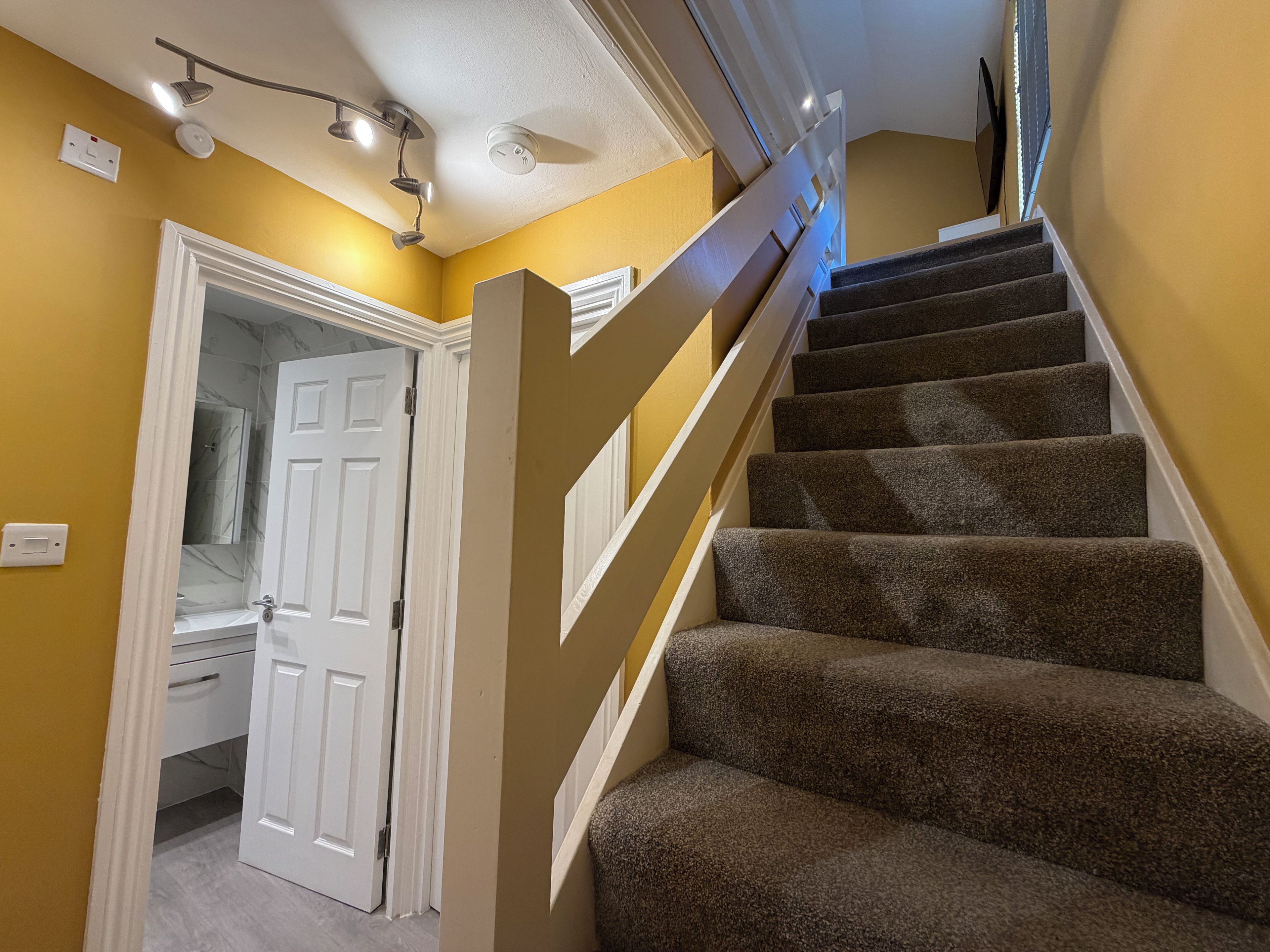 A staircase with carpeted steps leading to a landing, a white door, and a bathroom with a shower and toilet visible.