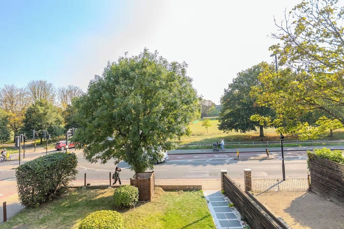 A park with a large tree, a paved walkway, and a road with vehicles.