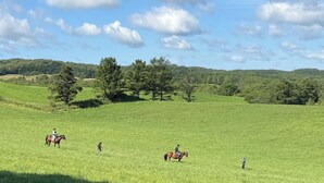 A wide-open field with horses and riders, surrounded by trees and hills.