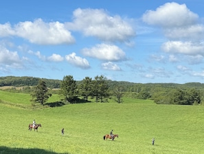 Horseback riding