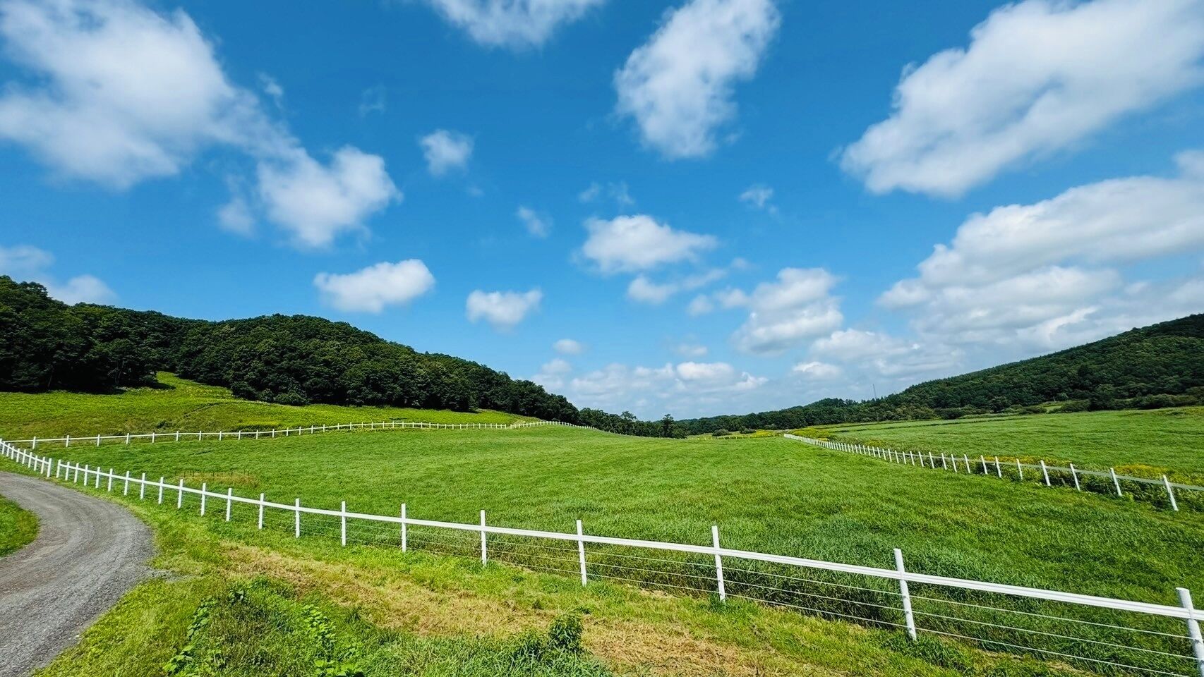 A rural landscape with a white fence, a dirt road, and green fields under a blue sky.