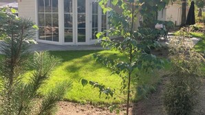 Ein Haus mit Wintergarten, Rasen und umgebender Bepflanzung.