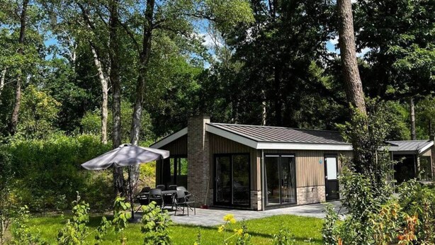 A modern house with a patio, surrounded by trees and greenery. - Holiday Home in Arnhem With Terrace (Arnhem)