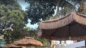 An outdoor seating area with thatched umbrellas, white wicker chairs, and a green artificial turf lawn.