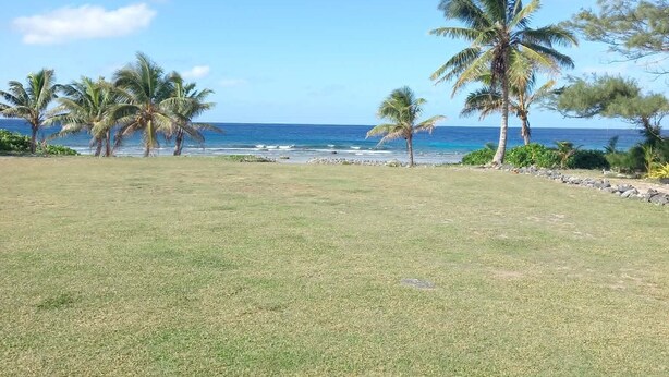 Un espacio verde con vistas al océano y palmeras.