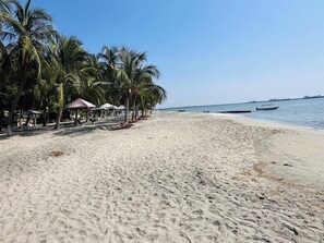 Ein Strand mit Palmen, sandigem Ufer und einem Boot im Wasser.
