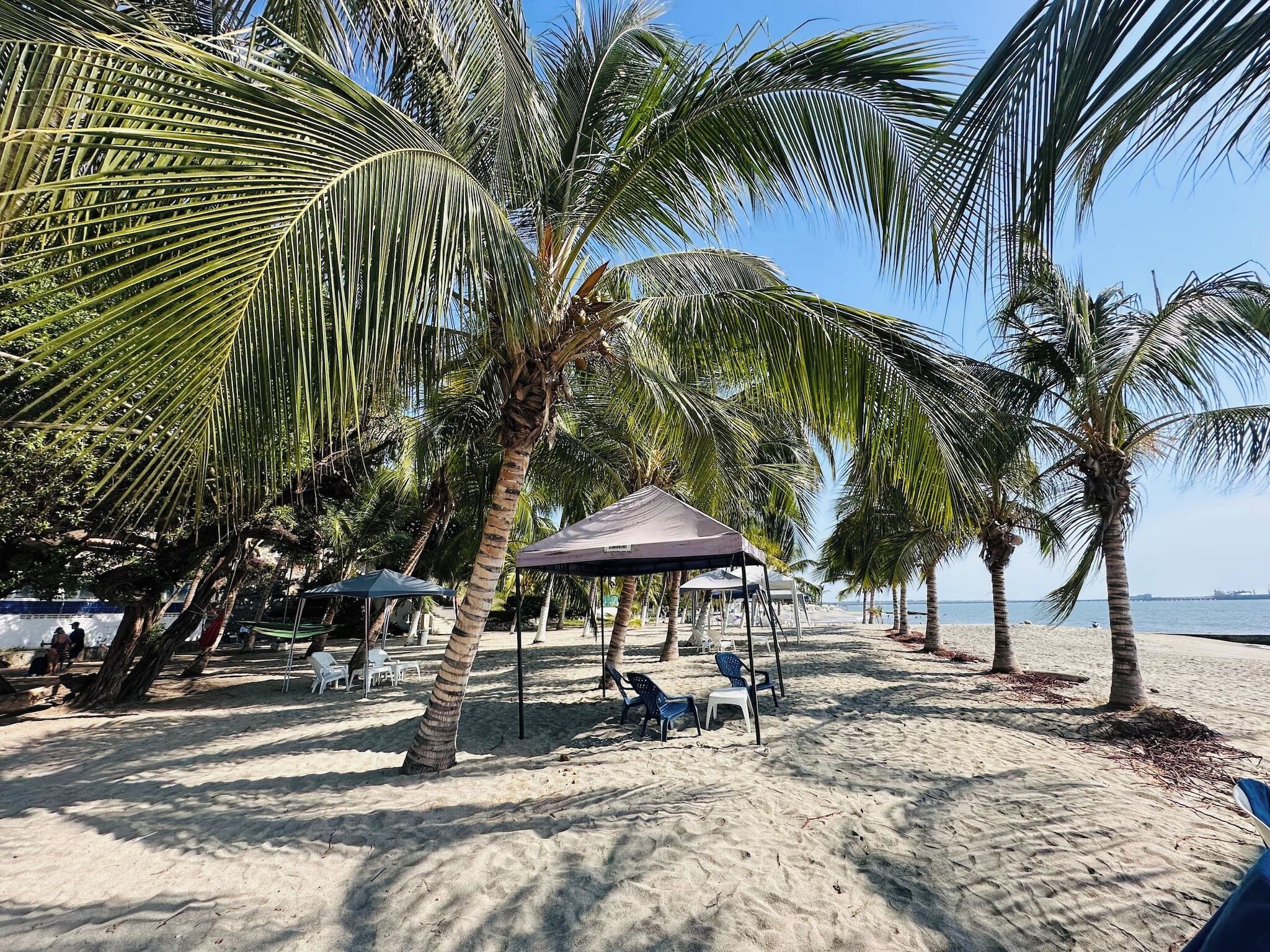 A beach with palm trees, a shaded area with chairs, and a clear view of the sea.