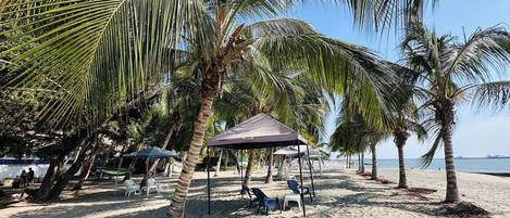 A beach with palm trees, a shaded area with chairs, and a clear view of the sea.