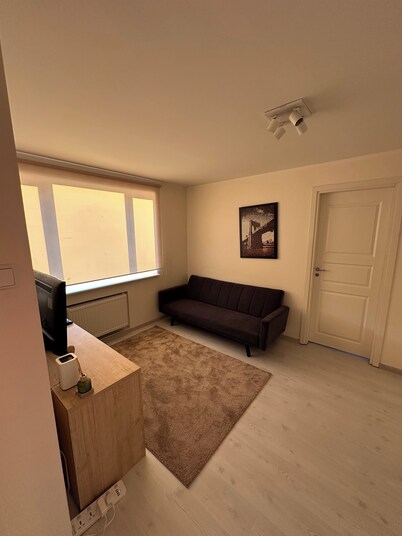 Enjoyable 1-bedroom apartment in charming Tallinn near city center
