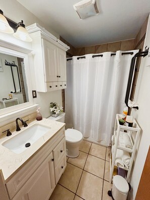 Bathroom - Cozy 2-bedroom house in adorable St. Louis with AC and fitness room (St. Louis)