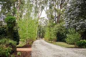 Ein Kiesweg in bewaldetem Gebiet mit Bäumen und Sträuchern.