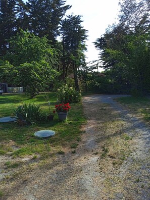 A gravel path leading through a garden with potted plants and trees.