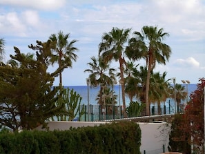 Küstensicht mit Palmen und blauem Himmel.